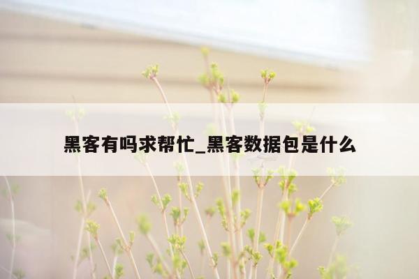 黑客有吗求帮忙_黑客数据包是什么