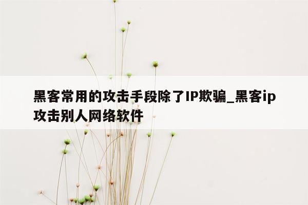 黑客常用的攻击手段除了IP欺骗_黑客ip攻击别人网络软件