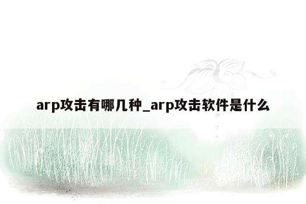 arp攻击有哪几种_arp攻击软件是什么