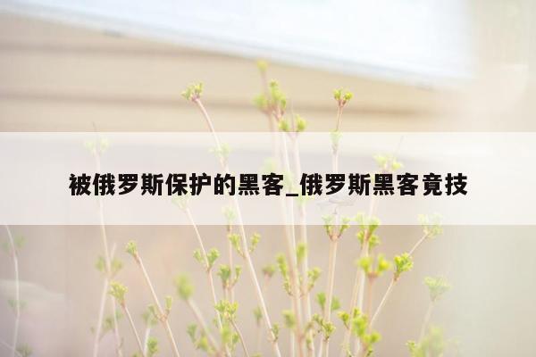 被俄罗斯保护的黑客_俄罗斯黑客竟技