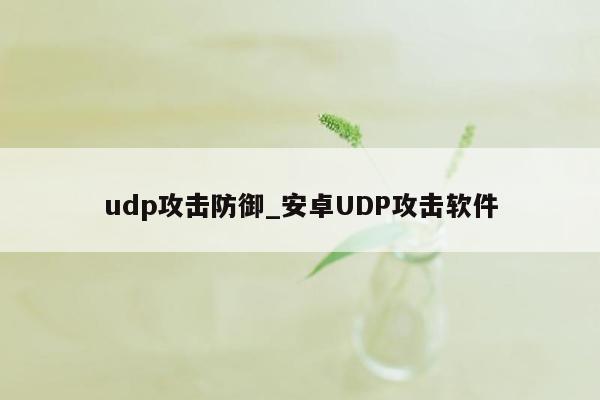 udp攻击防御_安卓UDP攻击软件