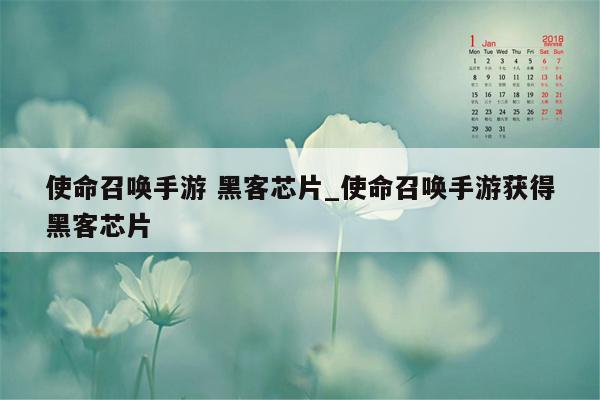 使命召唤手游 黑客芯片_使命召唤手游获得黑客芯片