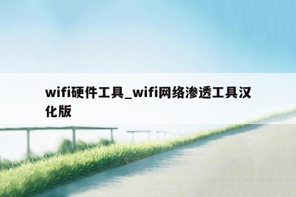 wifi硬件工具_wifi网络渗透工具汉化版