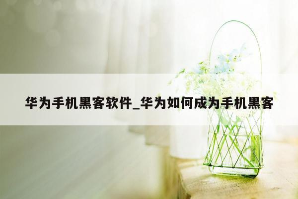 华为手机黑客软件_华为如何成为手机黑客