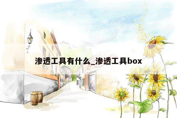 渗透工具有什么_渗透工具box