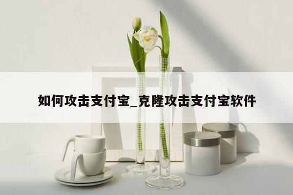 如何攻击支付宝_克隆攻击支付宝软件