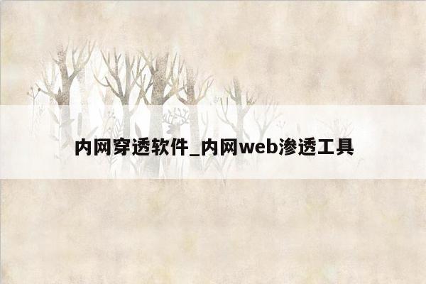 内网穿透软件_内网web渗透工具