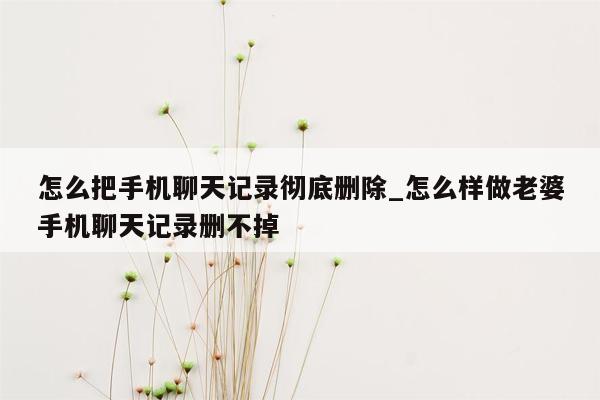 怎么把手机聊天记录彻底删除_怎么样做老婆手机聊天记录删不掉