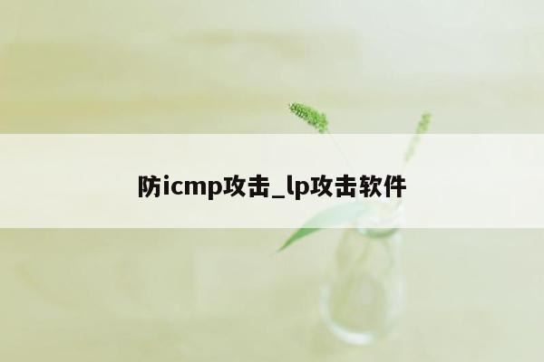 防icmp攻击_lp攻击软件