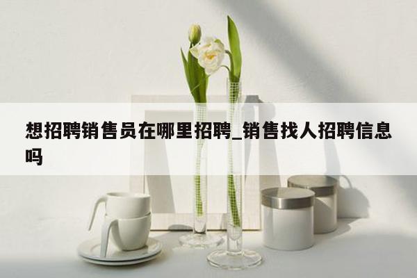 想招聘销售员在哪里招聘_销售找人招聘信息吗