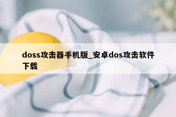 doss攻击器手机版_安卓dos攻击软件下载