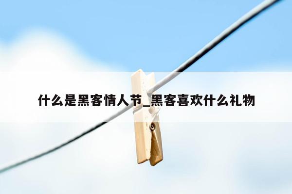 什么是黑客情人节_黑客喜欢什么礼物