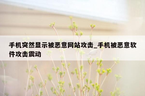 手机突然显示被恶意网站攻击_手机被恶意软件攻击震动