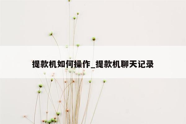 提款机如何操作_提款机聊天记录