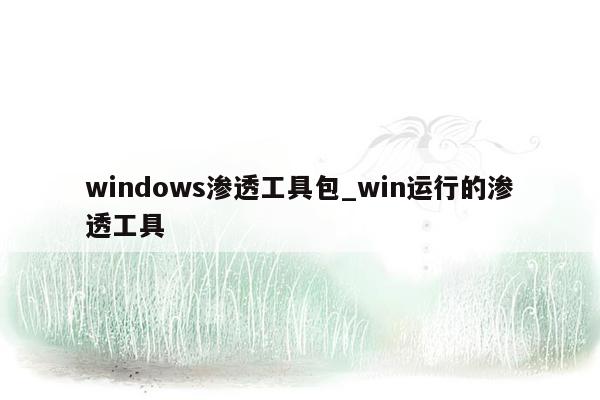 windows渗透工具包_win运行的渗透工具