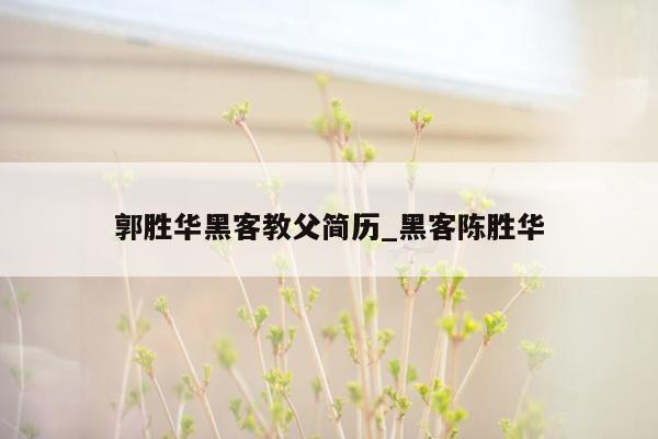 郭胜华黑客教父简历_黑客陈胜华