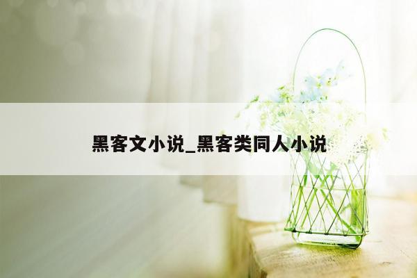 黑客文小说_黑客类同人小说