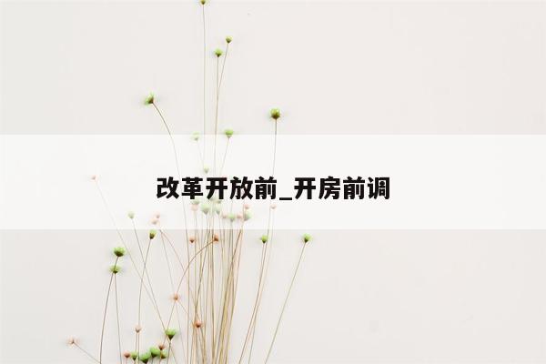 改革开放前_开房前调