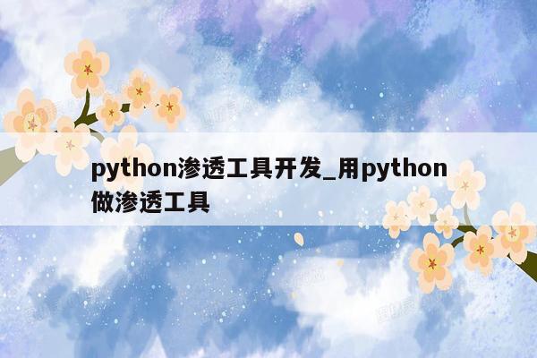 python渗透工具开发_用python做渗透工具