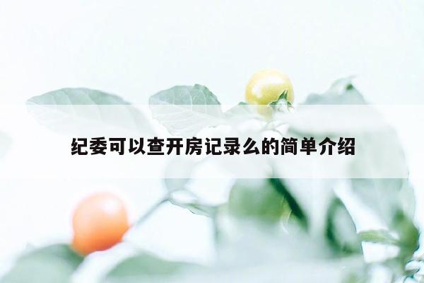 纪委可以查开房记录么的简单介绍