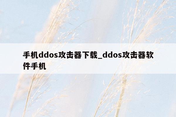 手机ddos攻击器下载_ddos攻击器软件手机