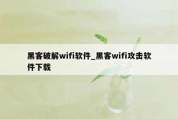 黑客破解wifi软件_黑客wifi攻击软件下载