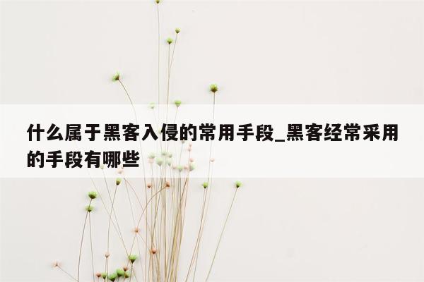 什么属于黑客入侵的常用手段_黑客经常采用的手段有哪些