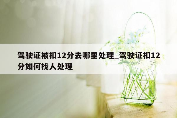 驾驶证被扣12分去哪里处理_驾驶证扣12分如何找人处理