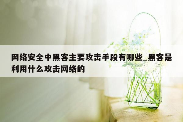 网络安全中黑客主要攻击手段有哪些_黑客是利用什么攻击网络的