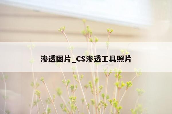 渗透图片_CS渗透工具照片