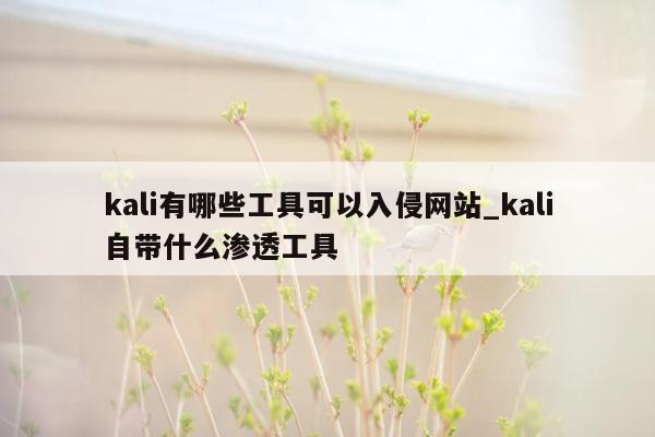 kali有哪些工具可以入侵网站_kali自带什么渗透工具