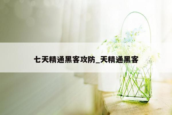 七天精通黑客攻防_天精通黑客