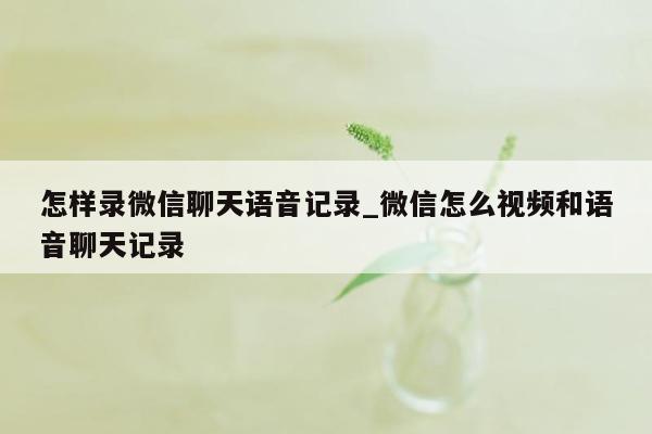 怎样录微信聊天语音记录_微信怎么视频和语音聊天记录