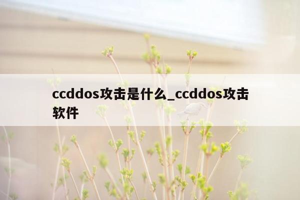 ccddos攻击是什么_ccddos攻击软件