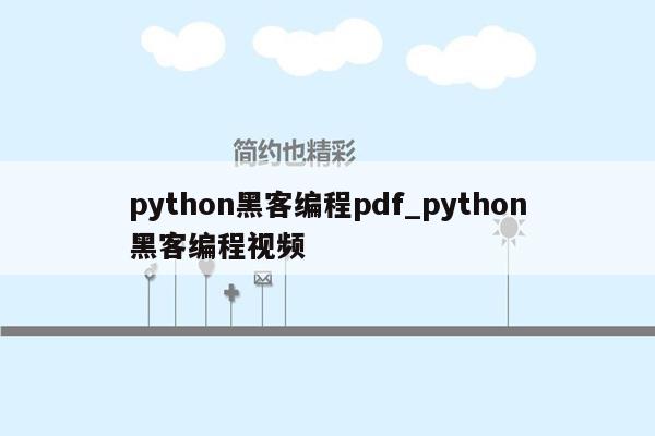 python黑客编程pdf_python黑客编程视频