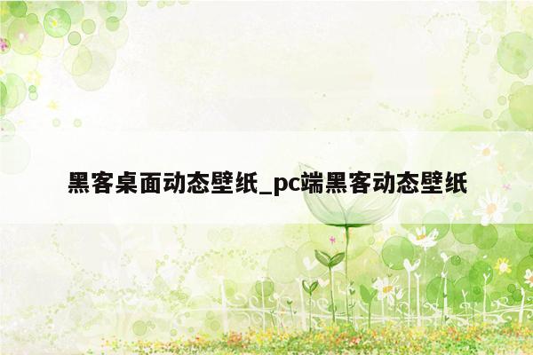 黑客桌面动态壁纸_pc端黑客动态壁纸