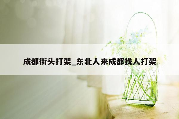 成都街头打架_东北人来成都找人打架