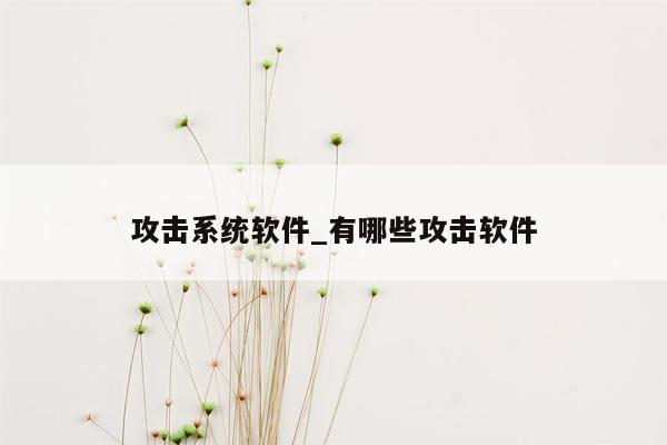 攻击系统软件_有哪些攻击软件