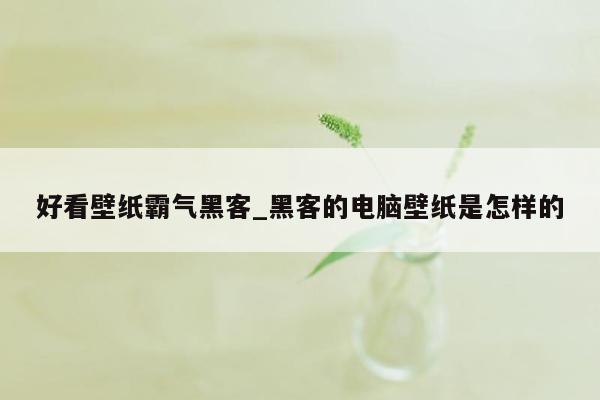 好看壁纸霸气黑客_黑客的电脑壁纸是怎样的