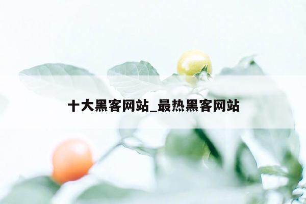 十大黑客网站_最热黑客网站