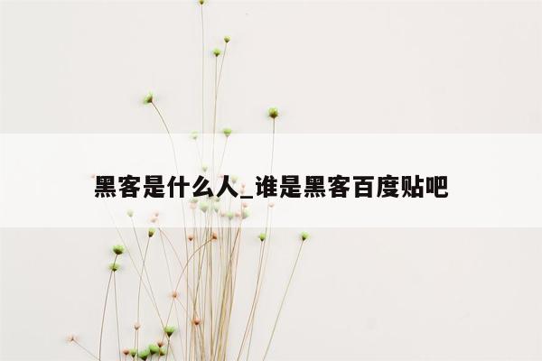 黑客是什么人_谁是黑客百度贴吧