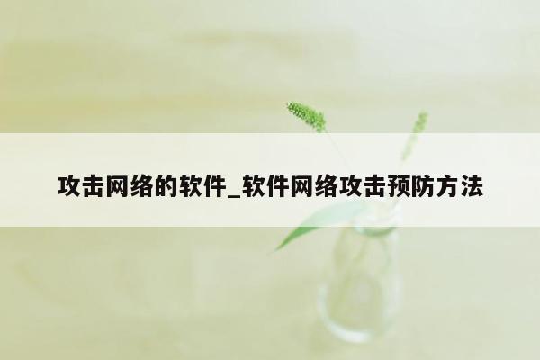 攻击网络的软件_软件网络攻击预防方法