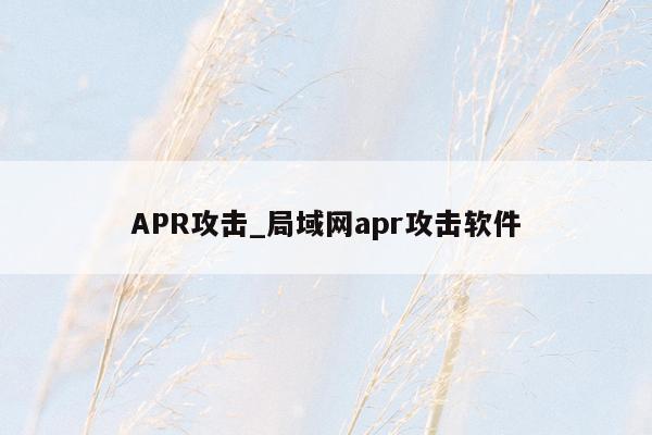 APR攻击_局域网apr攻击软件