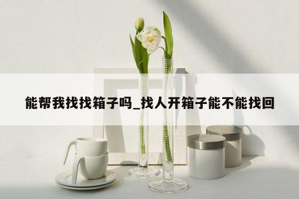 能帮我找找箱子吗_找人开箱子能不能找回