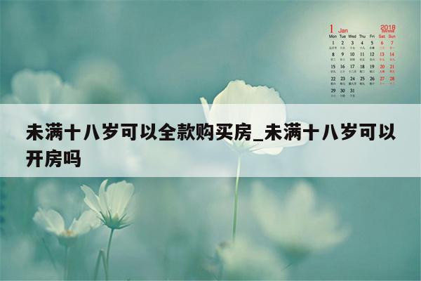 未满十八岁可以全款购买房_未满十八岁可以开房吗