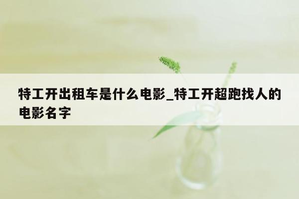 特工开出租车是什么电影_特工开超跑找人的电影名字