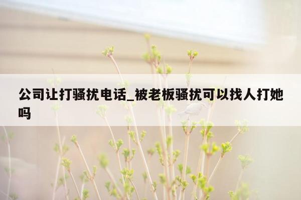 公司让打骚扰电话_被老板骚扰可以找人打她吗