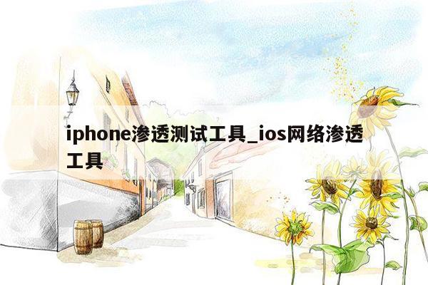 iphone渗透测试工具_ios网络渗透工具