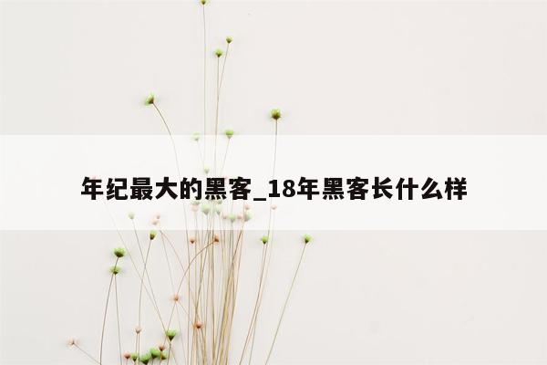 年纪最大的黑客_18年黑客长什么样