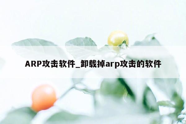 ARP攻击软件_卸载掉arp攻击的软件